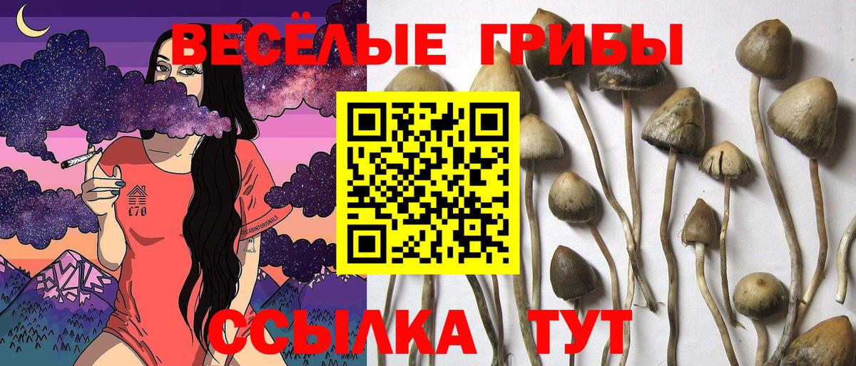 Галлюциногенные грибы мухоморы Шелехов