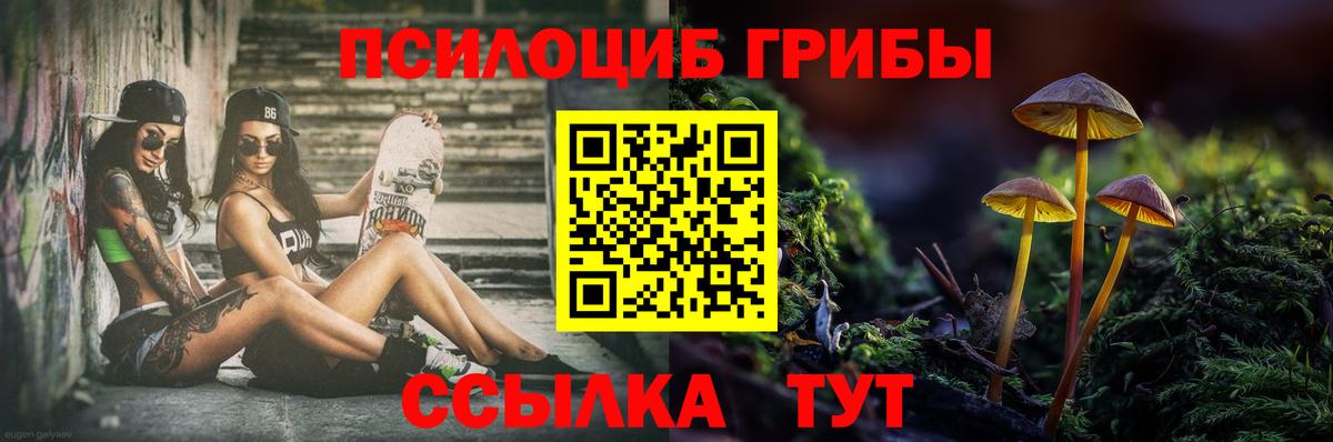 Шелехов  Псилоцибиновые грибы Magic Shrooms  Вход с VPN  Галлюциногенные грибы прущие грибы 
